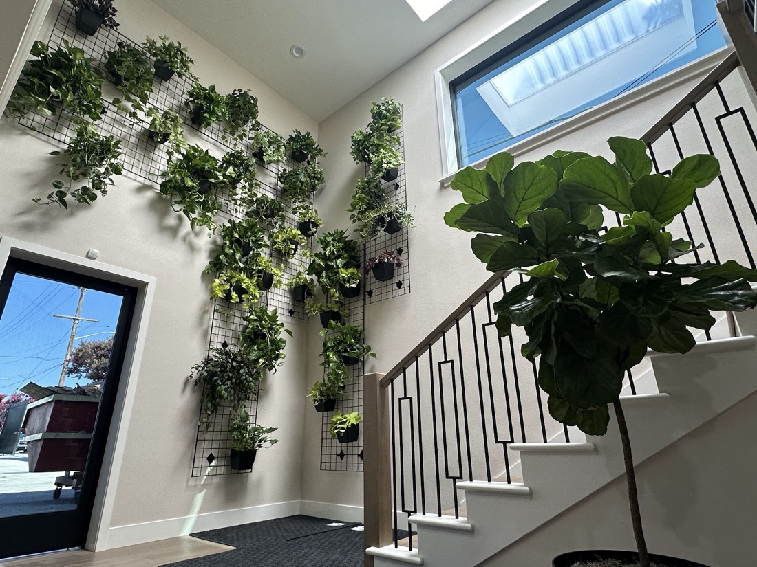 Grid plant wall of living plants in a bright entryway