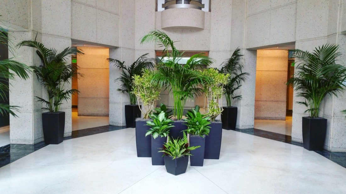 Kentia palms flanking doorways in a symmetrical granite lobby rotunda