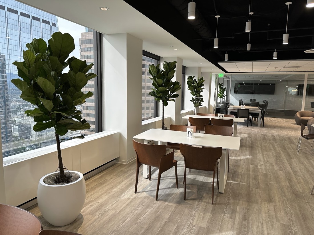 High-rise break area with fiddle-leaf fig trees and skyline views