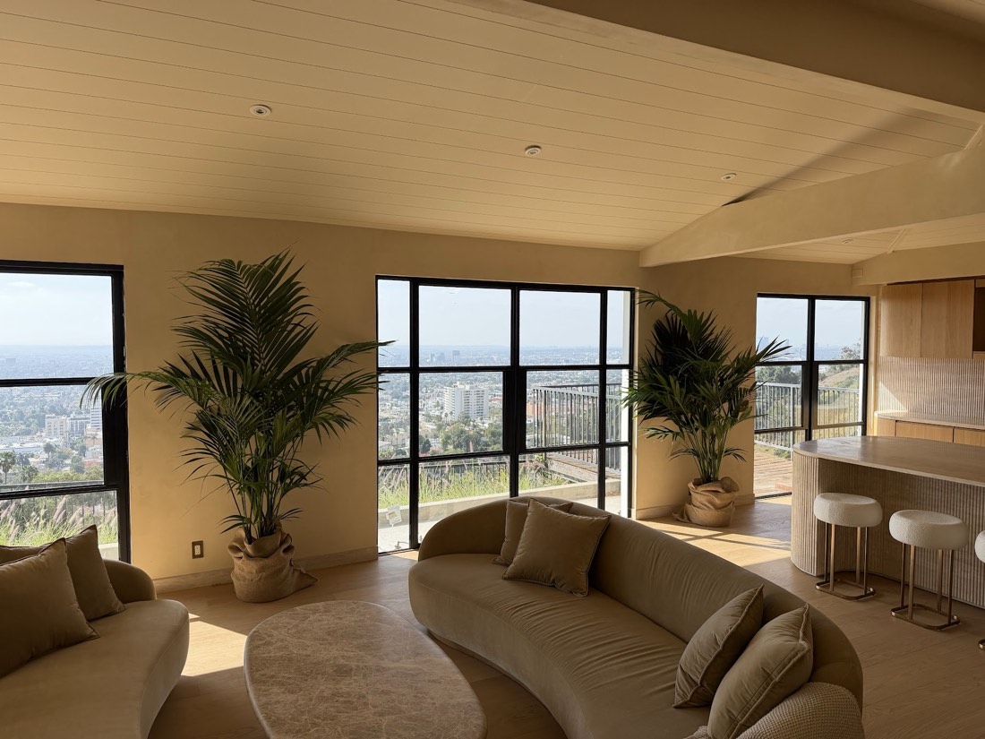 Kentia palms flanking floor-to-ceiling windows in a hillside living room with a panoramic city view
