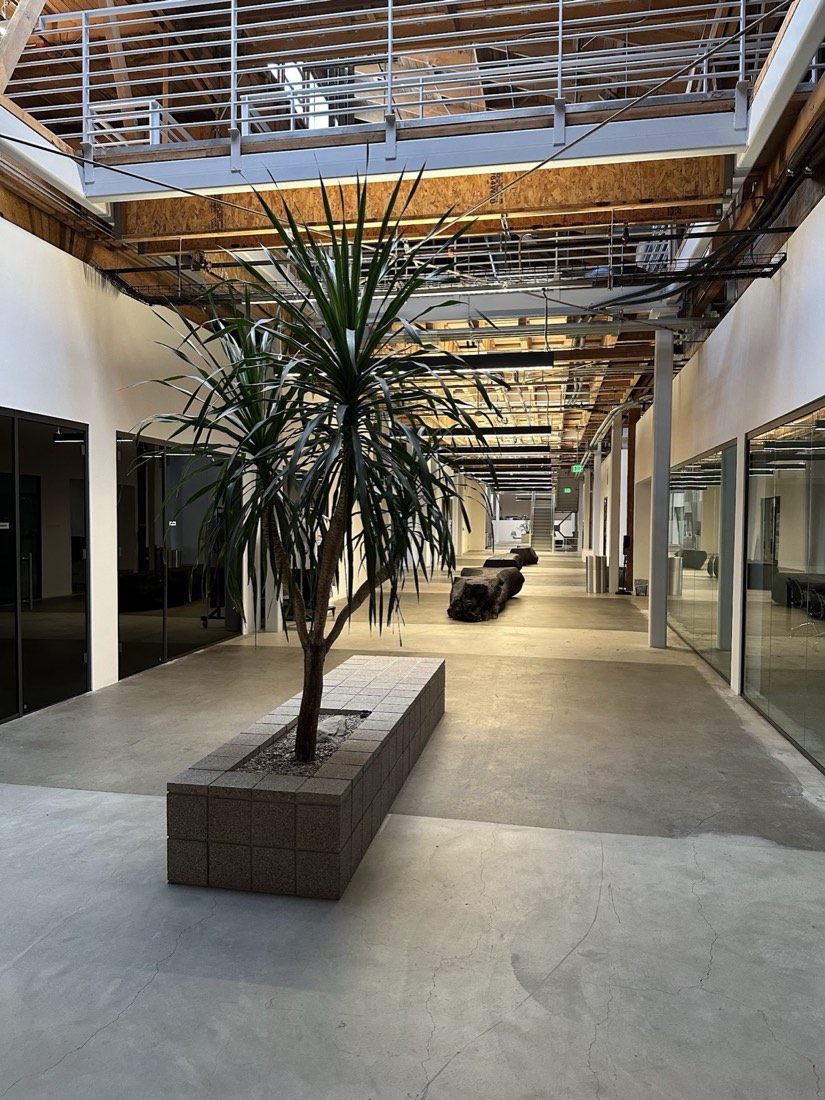 Hanging greenery and lighting installation over a reception desk