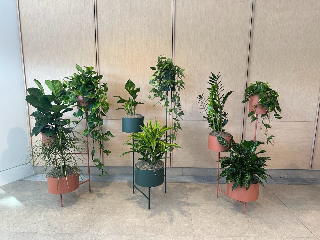 Tiered standing planters kept lush on an Area Indoor Plants maintenance program