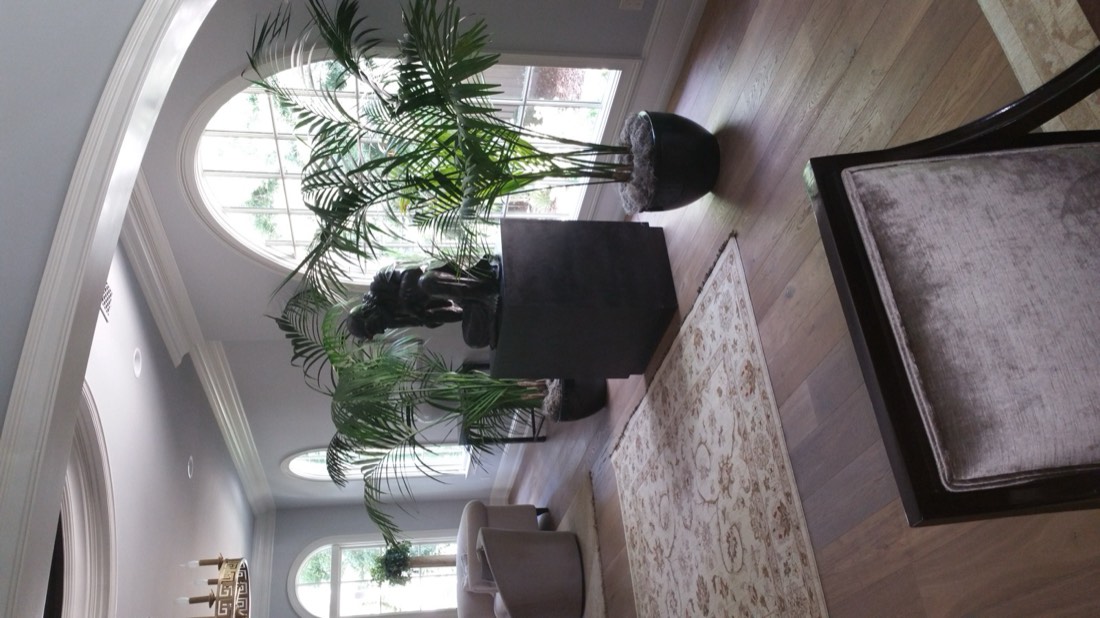 Kentia palms installed by Area Indoor Plants beside arched windows in a Los Angeles home