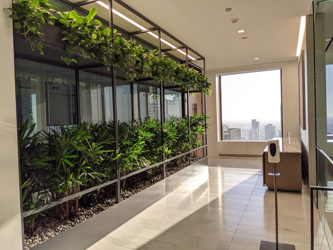 Sky-lobby corridor with rhapis palms and trailing pothos against floor-to-ceiling skyline glass
