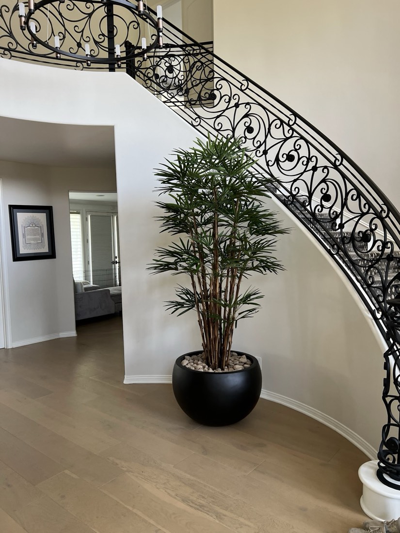 Rhapis palm in a round black bowl beneath a sweeping wrought-iron staircase
