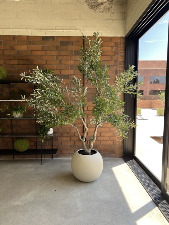 Large handcrafted faux olive tree in a stone planter against a brick wall