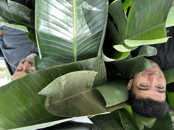Augustin and Luca smiling from a car packed with bird of paradise leaves
