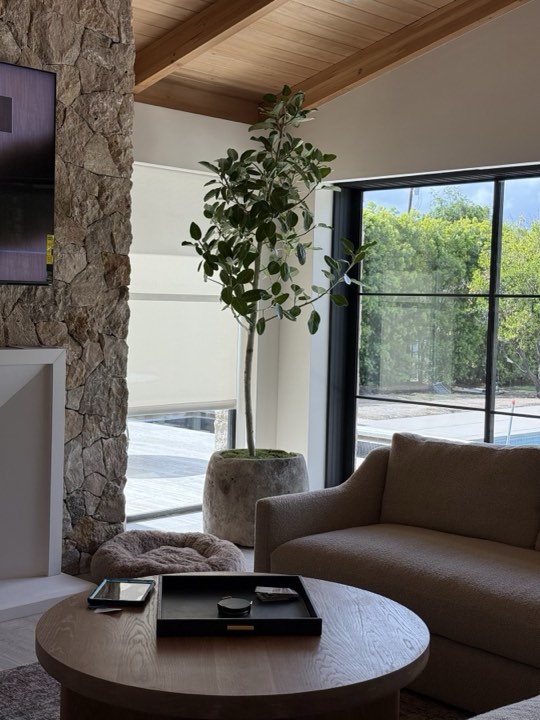 Faux ficus in an aged stone planter beside a stone fireplace and glass wall overlooking a pool