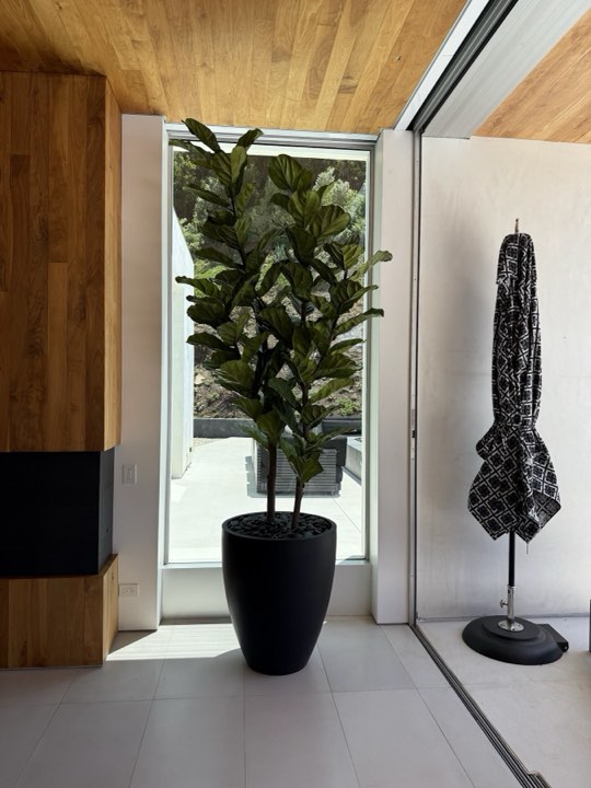 Faux fiddle-leaf fig in a tall black planter beside a floor-to-ceiling window in a hillside home