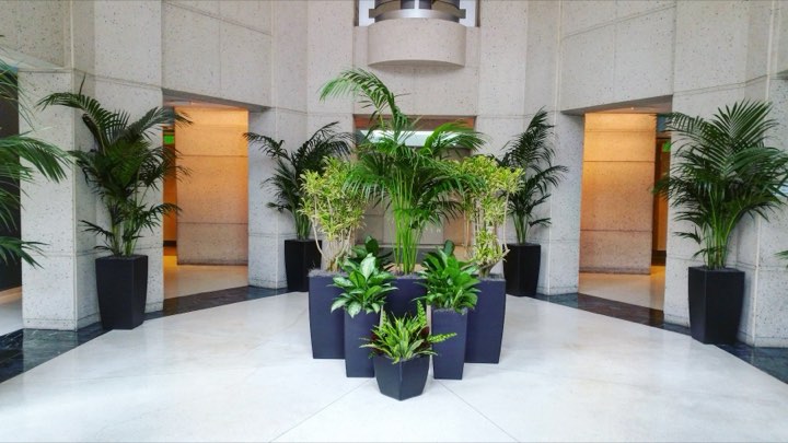 Symmetrical granite building lobby rotunda with kentia palms flanking doorways