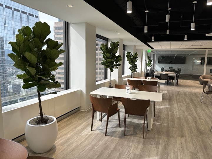 High-rise break area with fiddle-leaf fig trees along windows and downtown LA skyline views