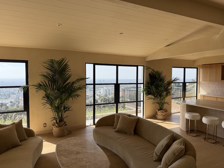 Hillside living room with panoramic LA views and kentia palms flanking steel-frame windows