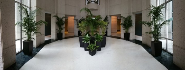Symmetrical palms in a marble commercial lobby
