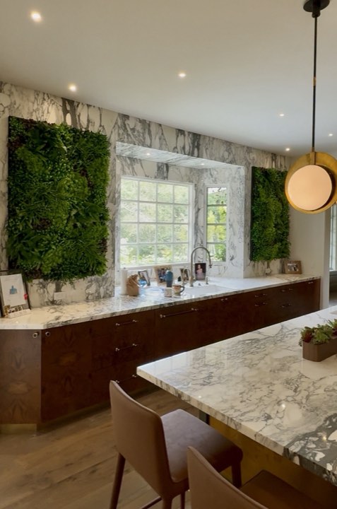 High-end residential kitchen with marble slab walls and two lush framed green-wall panels