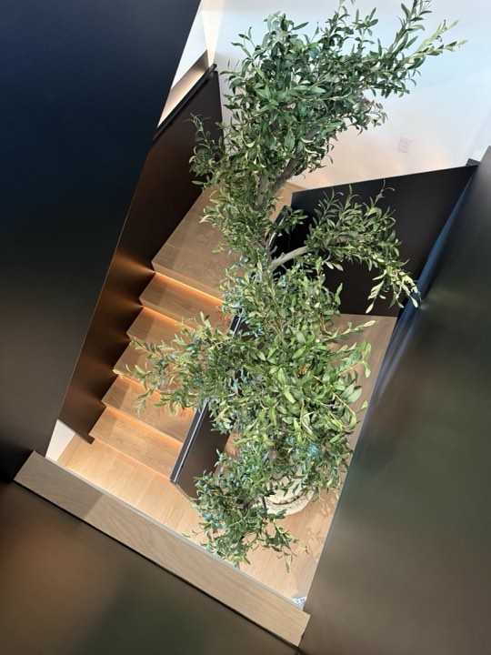 Overhead view down a stairwell of a tall faux olive tree spanning two floors