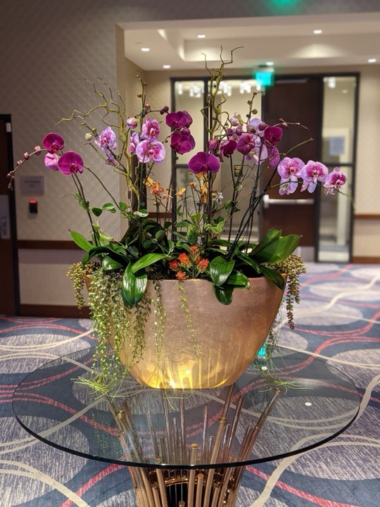 Lush purple and pink phalaenopsis arrangement in a gold bowl on a glass table