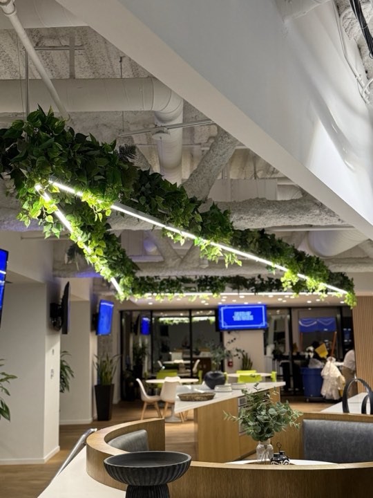 Suspended linear LED light fixtures wrapped in trailing pothos over an office cafe