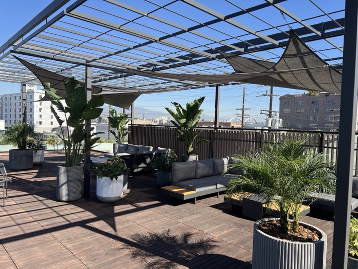 Rooftop amenity deck with shade sails, giant bird of paradise, and palms in gray planters