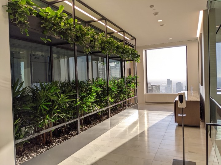 High-rise sky-lobby corridor with rhapis palms and trailing pothos against the downtown skyline
