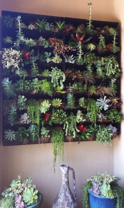 Framed vertical succulent garden