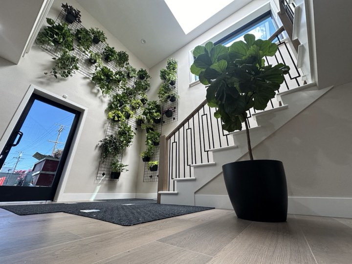 Bright residential entry with wall-mounted grid trellises of trailing plants up a double-height stairwell
