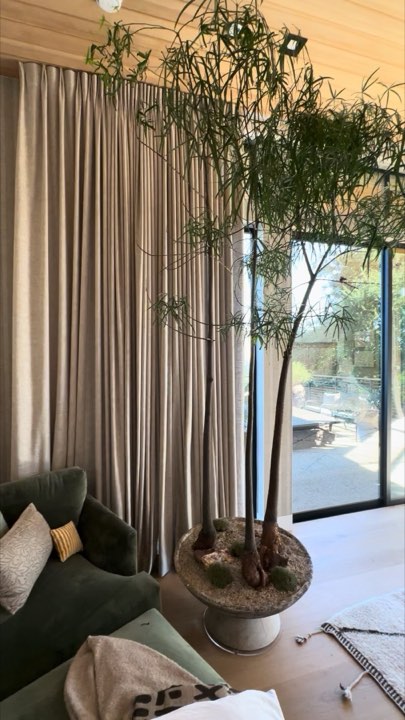 Tall custom faux tree in a moss-topped pedestal bowl beside a green velvet sofa